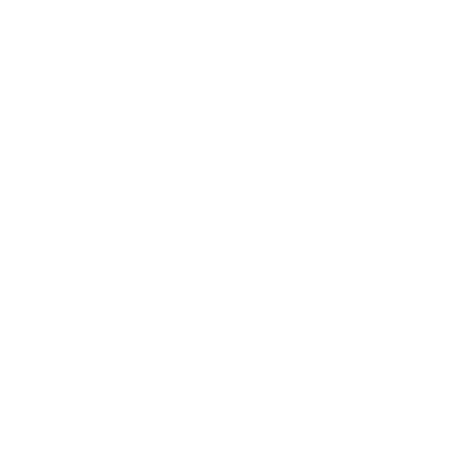 Palmetto Guard